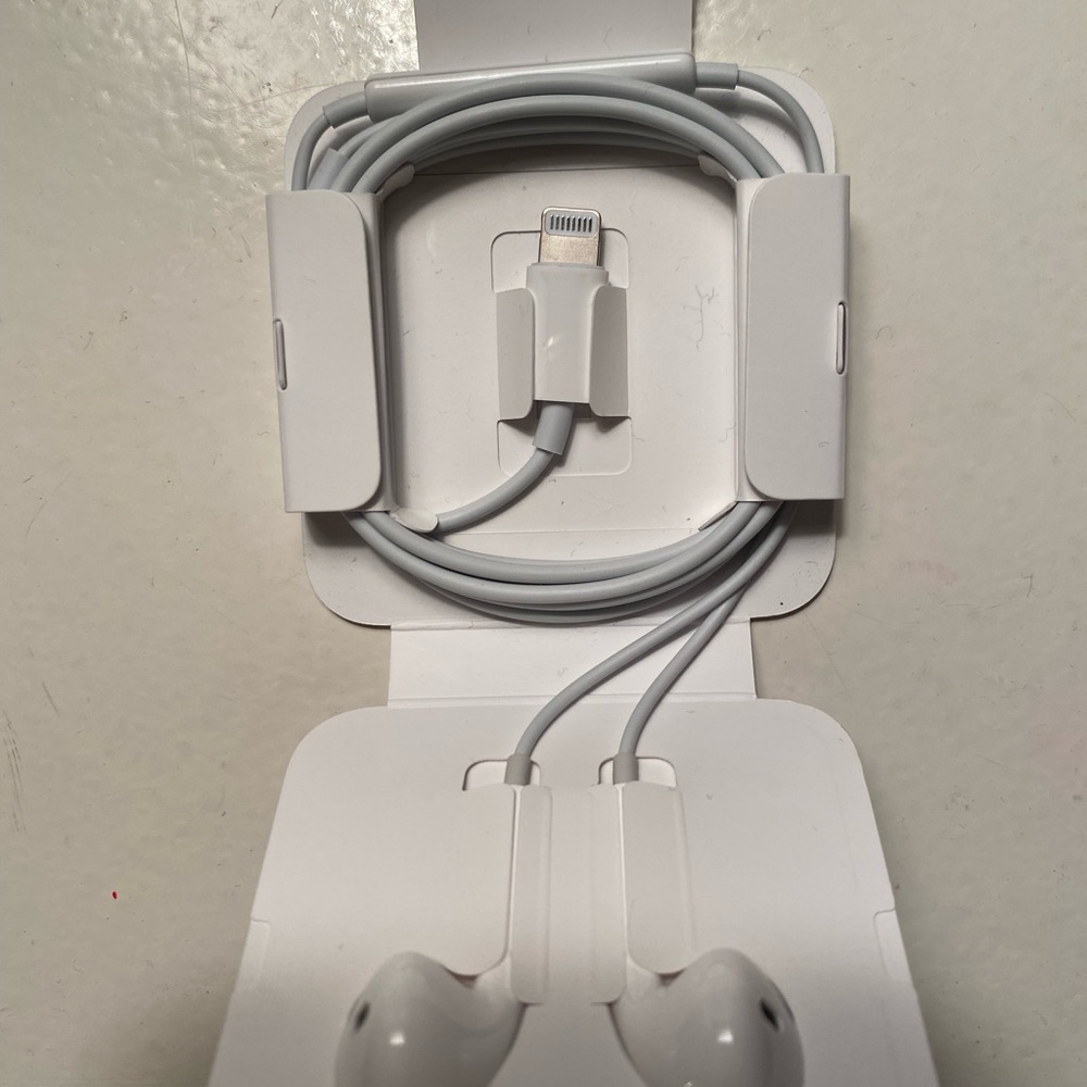 Apple Earbuds